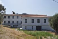 Teriade